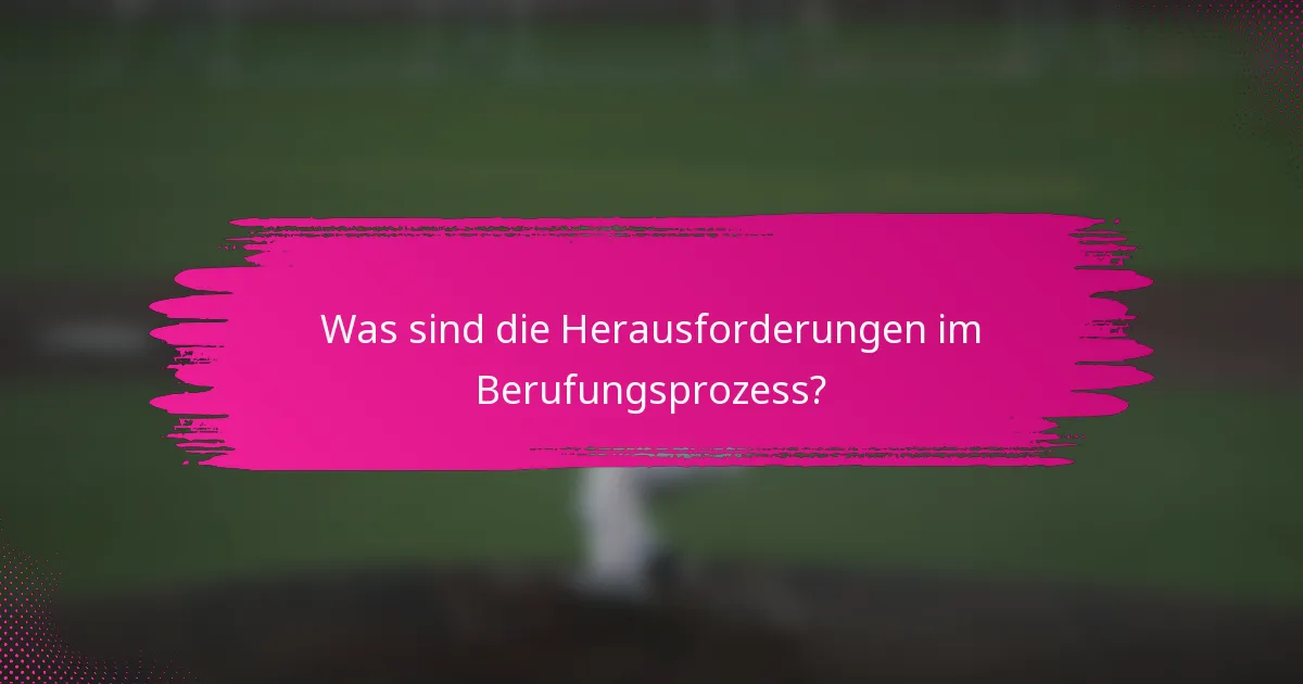 Was sind die Herausforderungen im Berufungsprozess?