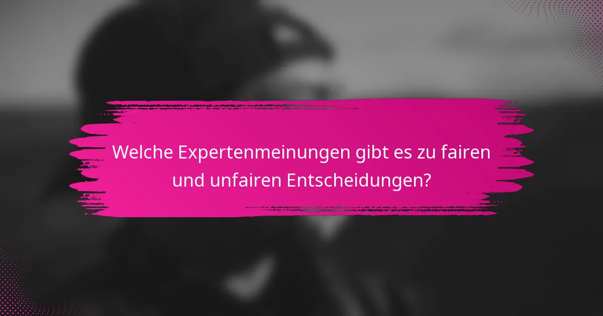 Welche Expertenmeinungen gibt es zu fairen und unfairen Entscheidungen?